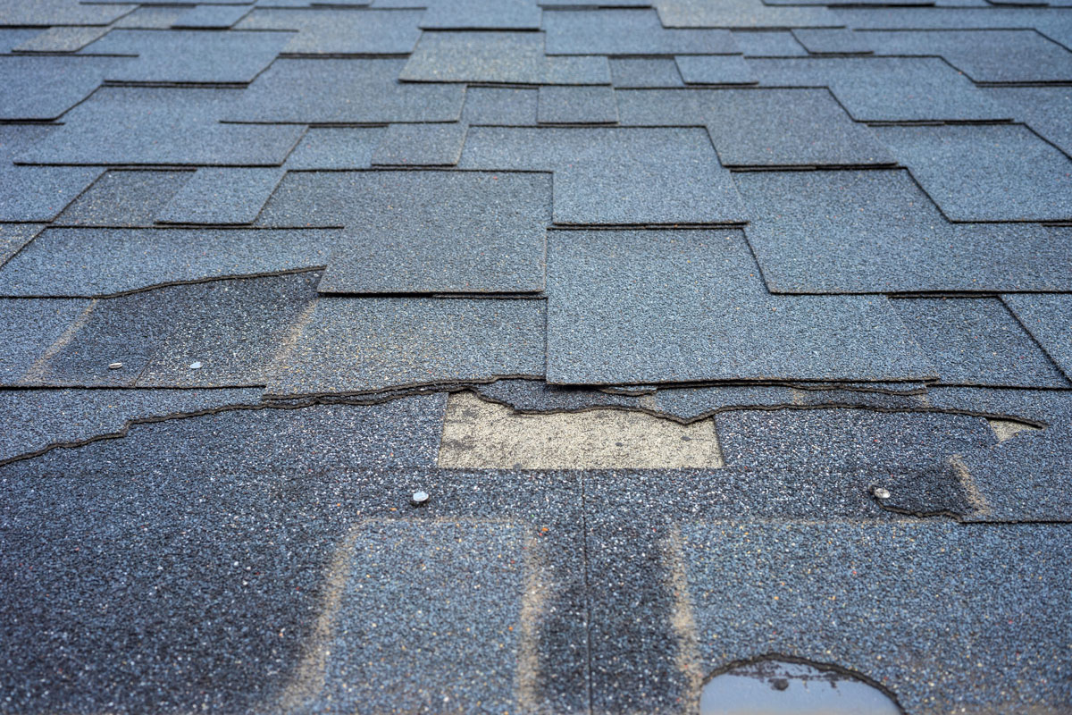 Damaged shingles