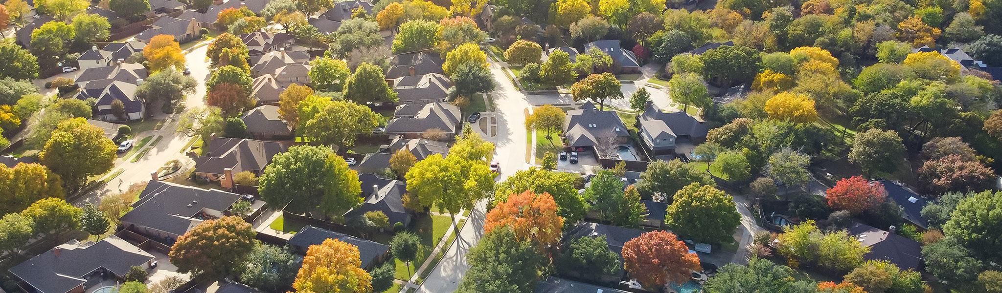 Neighborhood